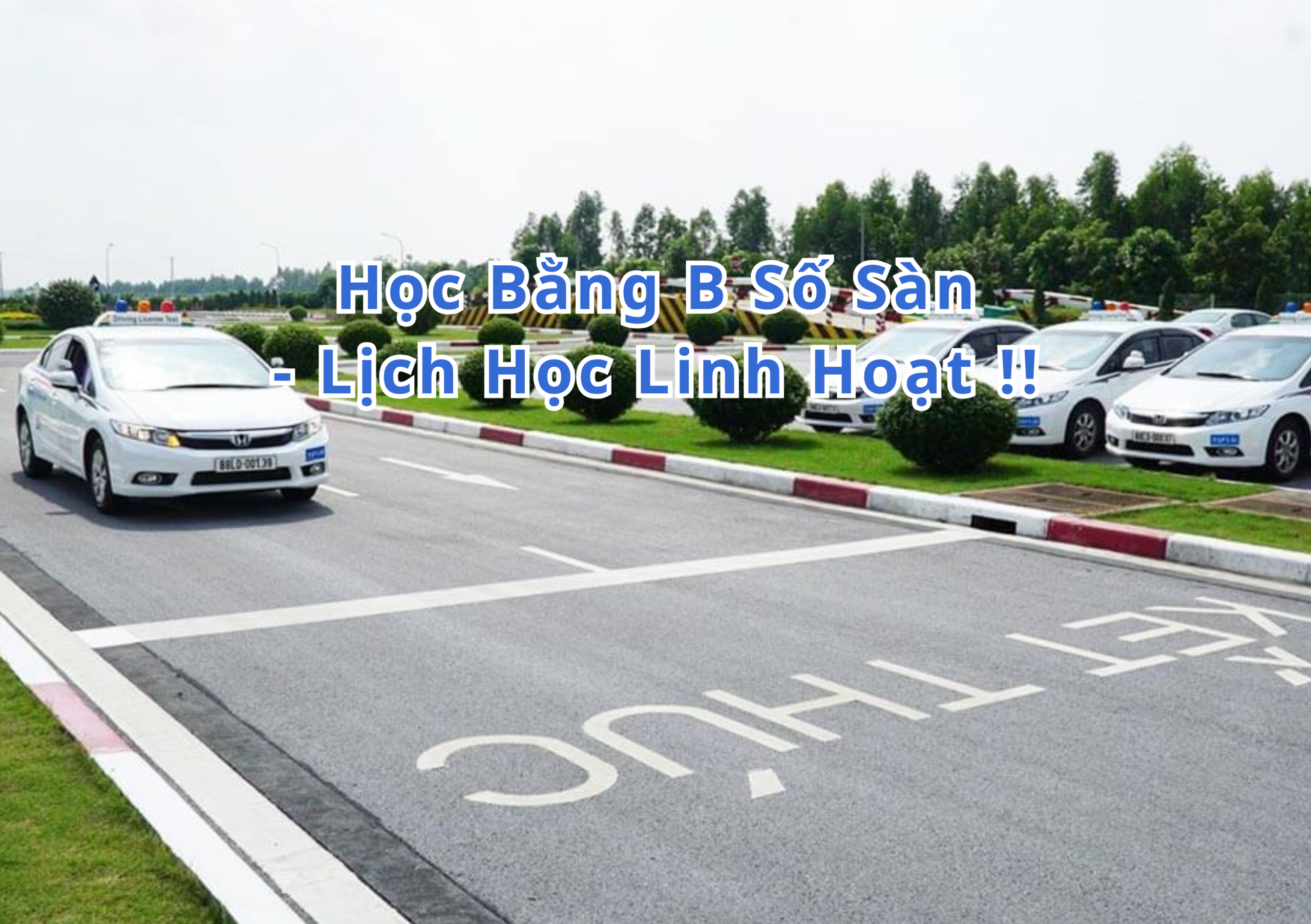 TOP 10+ Học Bằng B Số Sàn 2026 Lịch Học Linh Hoạt