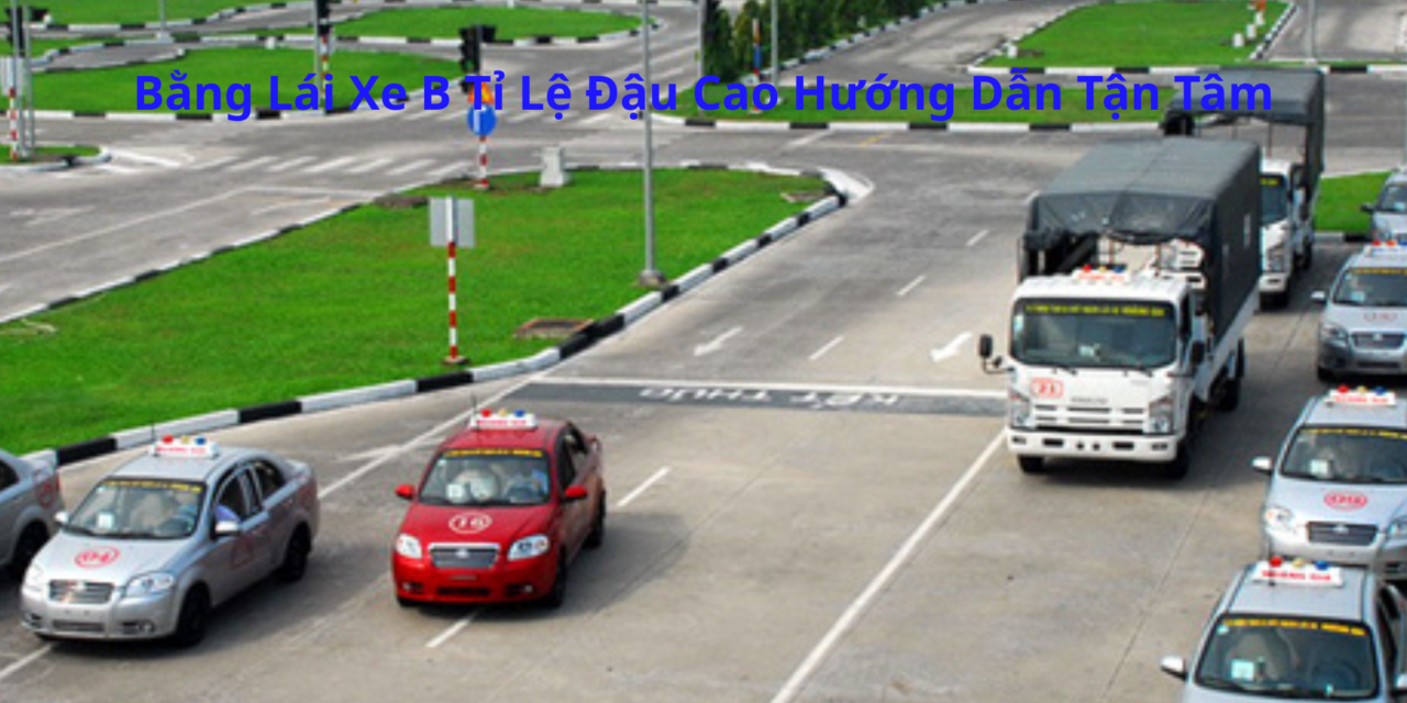 Bằng Lái Xe B 2026 Tỉ Lệ Đậu Cao Hướng Dẫn Tận Tâm