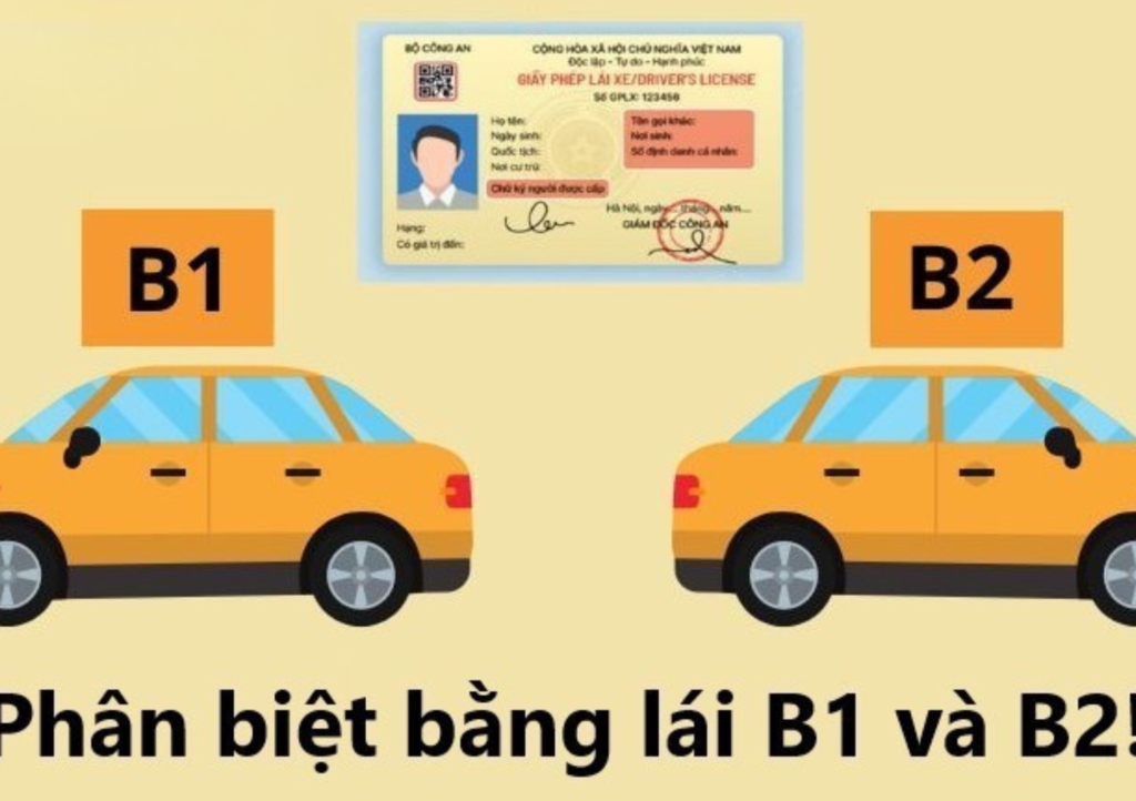 Bằng lái xe B1 và B2 có gì khác nhau-Đăng Ký Học Bằng Lái B