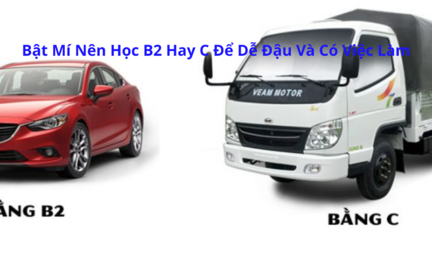 Bật Mí Nên Học B2 Hay C 2026 Để Dễ Đậu Và Có Việc Làm