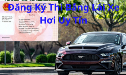 Đăng Ký Thi Bằng Lái Xe Hơi 2026 – Học Nhanh, Đậu Cao