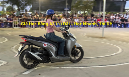 Giá Học Bằng A2 2026 Ưu Đãi – Học Nhanh, Thi Dễ