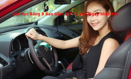 Giá Học Bằng B 2026 Bao Gồm Gì? Tư Vấn Ngay Miễn Phí