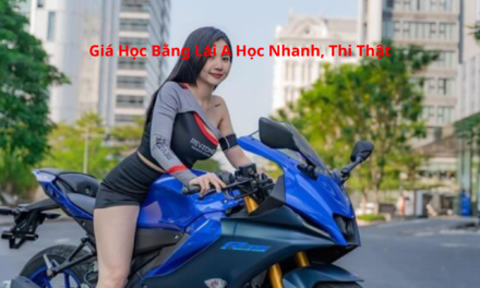 Giá Học Bằng Lái A 2026 Học Nhanh, Thi Thật, Bao Đậu