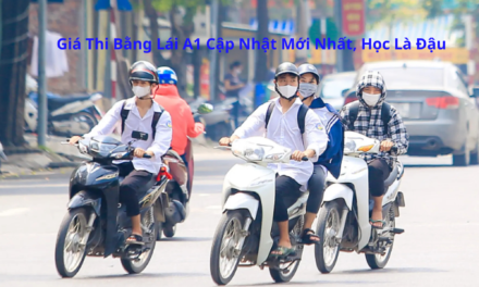 Giá Thi Bằng Lái A1 2026 Cập Nhật Mới Nhất, Học Là Đậu