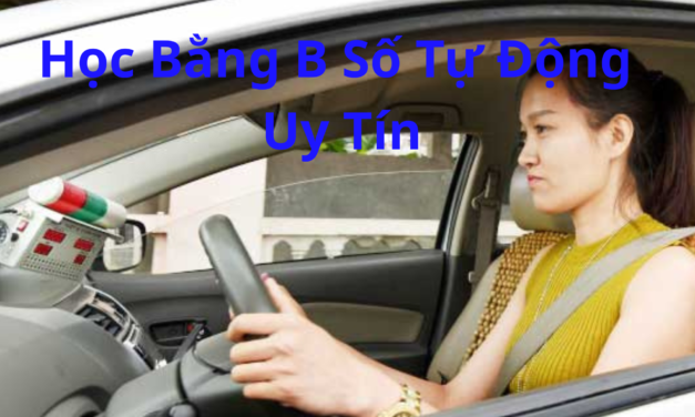 TOP 10+ Học Bằng B Số Tự Động 2026 Dễ Đậu, Lấy Bằng Nhanh