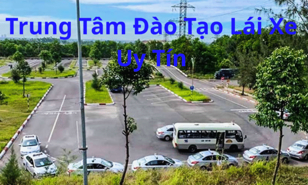 TOP 10+ Trung Tâm Đào Tạo Lái Xe Uy Tín TPHCM