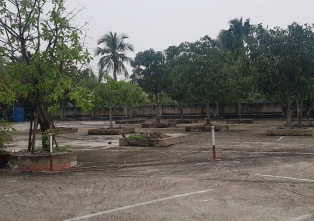 Trung Tâm Dạy Nghề Lái Xe Hoàn Cầu-Thi Bằng Lái Xe B TPHCM
