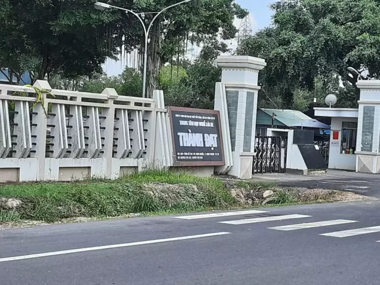 Trường Dạy Lái Xe Thành Đạt-Học Lái Xe Bằng B TPHCM